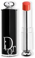 Dior Lippenpflegemittel Addict Lipstick Barra De Labios 744 Lippenstift 3,2g