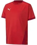 PUMA Funktionsshirt Puma teamGOAL 23