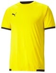 PUMA Fu&szlig;balltrikot PUMA teamLIGA Trikot Kurzarm-Trikots Herren Teamsport