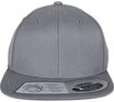 Flexfit Flex Cap Flexfit Unisex 110 Fitted Snapback