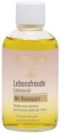 Farfalla Essentials AG Mineralstein Edelstein&ouml;l&nbsp;Lebensfreude, 100 ml