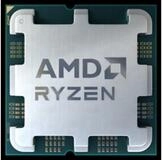 AMD Prozessor 7800X3D