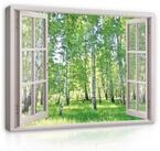 Wallarena Leinwandbild Fensterblick Wald Birkenwald gr&uuml;n Wandbild XXL Leinwandbilder