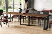 Endo-Moebel Kulissen-Esstisch "Borys 290" 130cm-290cm Kufengestell Metall