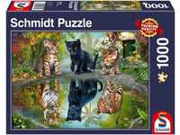 Schmidt-Spiele Dream Big, Katzen (1000 Teile)