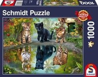 Schmidt Spiele Puzzle 1000 Teile Schmidt Spiele Puzzle Dream Big! 57392, 1000
