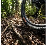 Maxxis Fahrradreifen Maxxis Reifen Minion DHF WT 27.5x2.50 Zoll 63-584 schwarz...
