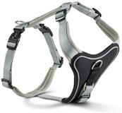 Wolters Hunde-Geschirr Professional Comfort Geschirr gr&uuml;n Gr.2 | 2,5 cm x 40...