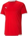 PUMA Funktionsshirt Puma teamLIGA