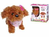 Simba Chi Chi Love Tea Cup Poodle Puppy (105890015)