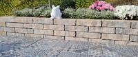 Diephaus Mauerstein VOLAR MAUER MUSCHELKALK 40/20/20 CM PE2