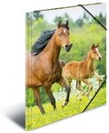 HERMA F&auml;chermappe Gummizugmappe A4 PP (Polypropylen) Pferde (3 St&uuml;ck)