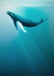 Komar Vliestapete Digitaldruck Vlies - Artsy Humpback Whale - Gr&ouml;&szlig;e 200 x 280...