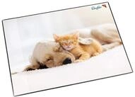 L&auml;ufer Schreibtischunterlage L&auml;ufer Schreibunterlage Hund und Katze, 400 x...