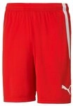 PUMA Sporthose PUMA teamLiga Short Shorts Herren teamLIGA