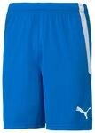 PUMA Trainingsshorts Puma Herren Shorts teamLIGA Shorts 704924