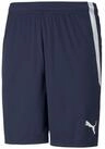 PUMA Trainingsshorts Puma Herren Shorts teamLIGA Shorts 704924