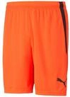 PUMA Trainingsshorts Puma Herren Shorts teamLIGA Shorts 704924