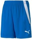 PUMA Sporthose teamLIGA Shorts blau Kinder
