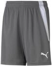 PUMA Sporthose teamLIGA Shorts grau Kinder