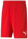 PUMA Trainingsshorts Puma Herren Shorts teamRISE Short 704942