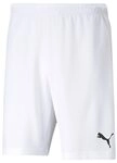 PUMA Sporthose PUMA TeamRISE Short Shorts Herren teamRISE
