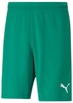 PUMA Trainingsshorts Puma Herren Shorts teamRISE Short 704942