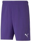 PUMA Sporthose PUMA TeamRISE Short Shorts Herren teamRISE