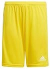 adidas Performance Trainingsshorts adidas Kinder Shorts Squadra 21