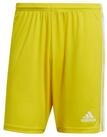 adidas Performance Trainingsshorts adidas Herren Shorts Squadra 21