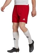 adidas Performance Trainingsshorts Entrada 22