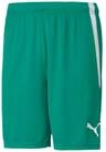 PUMA Trainingsshorts Puma Herren Shorts teamLIGA Shorts 704924