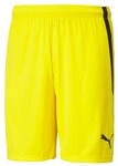 PUMA Sporthose PUMA teamLiga Short Shorts Herren teamLIGA