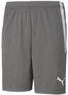 PUMA Trainingsshorts Puma Herren Shorts teamLIGA Shorts 704924