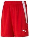 PUMA Sporthose PUMA teamLIGA Short Kids Shorts Kinder teamLIGA