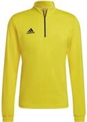 adidas Performance Sweatshirt Entrada 22