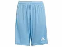Adidas Kinder Shorts Squadra 21 team light blue/white