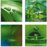 Artland Leinwandbild Blatt Gras Wassertropfen, Zen (4 St), 4er Set, verschiedene