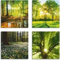 Artland Leinwandbild Wald Bach Fr&uuml;hling Windrosen Sonne Baum, Wald (4 St), 4er...