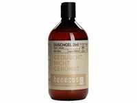 Benecos Duschgel Olive - Duschgel 2in1 Haut+Haar 500ml