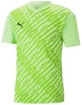 PUMA Fu&szlig;balltrikot PUMA teamULTIMATE Trikot Kurzarm-Trikots Herren Teamsport