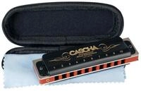 Cascha Mundharmonika HH2025 Professional Blues in C-Dur