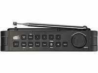 Panasonic D15 Digitalradio (DAB) (Digitalradio (DAB), FM-Tuner, UKW mit RDS, 3...