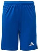 adidas Performance Trainingsshorts Squadra 21