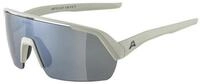 Alpina Sports Sportbrille Sportbrille Turbo HR