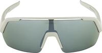 Alpina Sports Sonnenbrille TURBO HR Q-LITE BLACK MATT