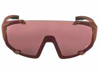 Alpina Sonnenbrille Alpina Sportbrille HAWKEYE Q-LITE A8691