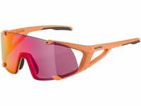 Alpina Sports Sonnenbrille Alpina Hawkeye S Q-Lite Sonnenbrille