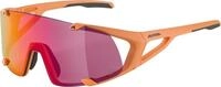 Alpina Sports Sonnenbrille Alpina Hawkeye S Q-Lite Sonnenbrille