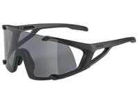 Alpina Sonnenbrille Alpina Sportbrille HAWKEYE A8692.3.31 black matt